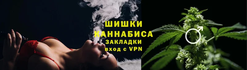 Шишки марихуана THC 21%  цена   Вытегра 